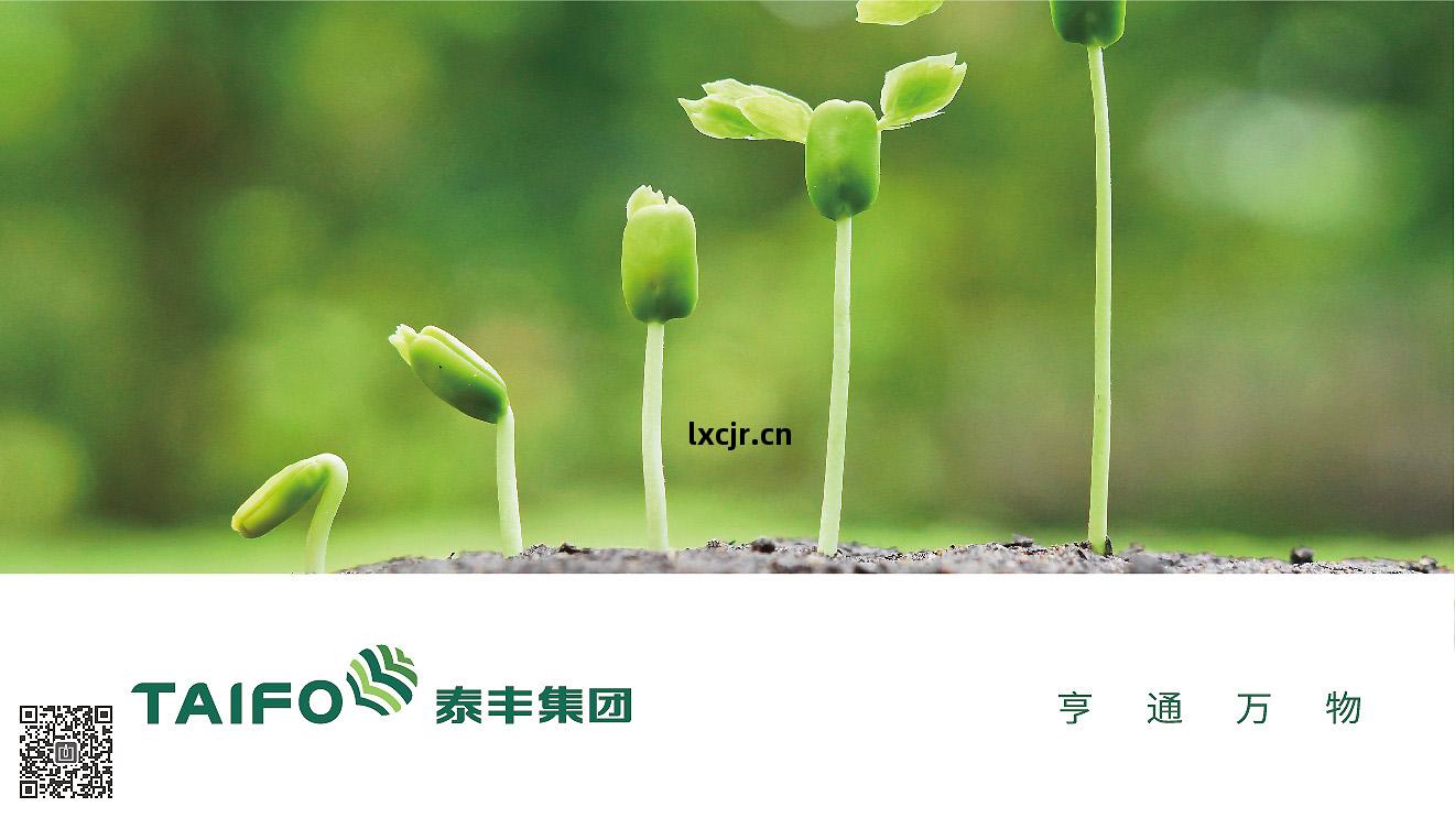 泰(tai)豐(feng)集(ji)團品(pin)牌(pai)形(xing)象(xiang)策(ce)劃設計(ji)