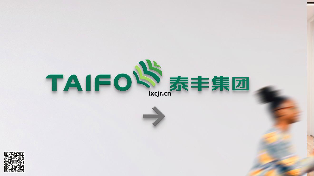 泰(tai)豐(feng)集(ji)團品(pin)牌(pai)形(xing)象(xiang)策(ce)劃設計(ji)