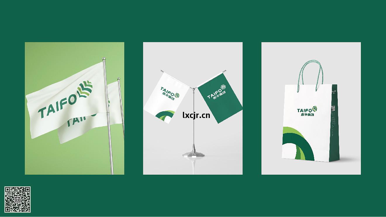 泰(tai)豐(feng)集(ji)團品(pin)牌(pai)形(xing)象(xiang)策(ce)劃設計(ji)
